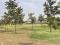 Parque Bicentenario Areas Generales