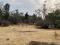 Parque Ecologico Bosque de los Remedios