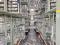Biblioteca Vasconcelos