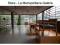 Showroom La Metropolitana