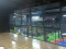 Gimnasio Pancho Rosales