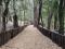 PARQUE FUENTES BROTANTES