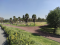 Parque Bicentenario Palmeras