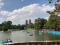 BOSQUE DE CHAPULTEPEC - LAGO