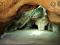 Cueva de la Amistad