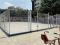 Cancha Chapultepec Insurgentes 